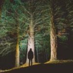 How pedestrians can be safe on Halloween night How pedestrians can be safe on Halloween night