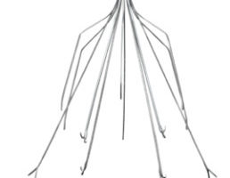 Inferior-Vena-Cava3-258x3001 Inferior-Vena-Cava3-258x3001