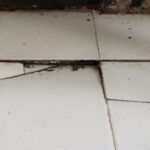 BrokenFloor