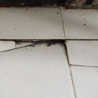 BrokenFloor BrokenFloor